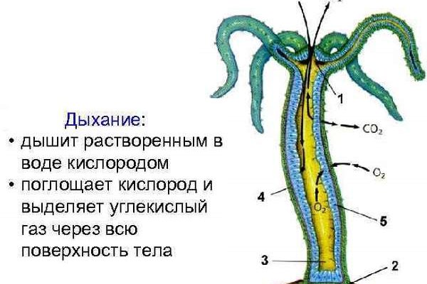 Кракен маркетплейс тор